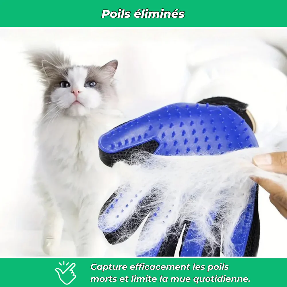 Gants de toilettage pour chiens et chats – Éliminent poils morts et massent la peau - Image 5