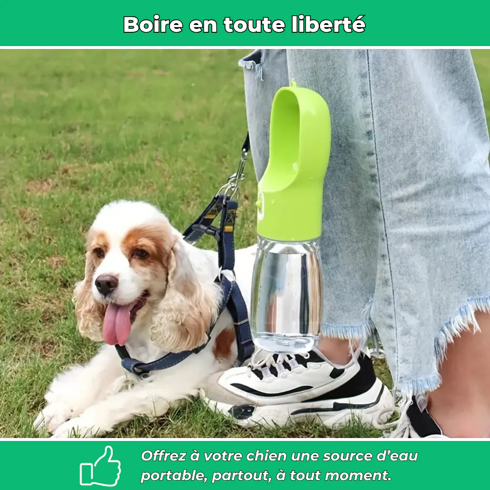 Gourde de voyage avec bol intégré pour chien – Hydratation pratique en extérieur - Image 3