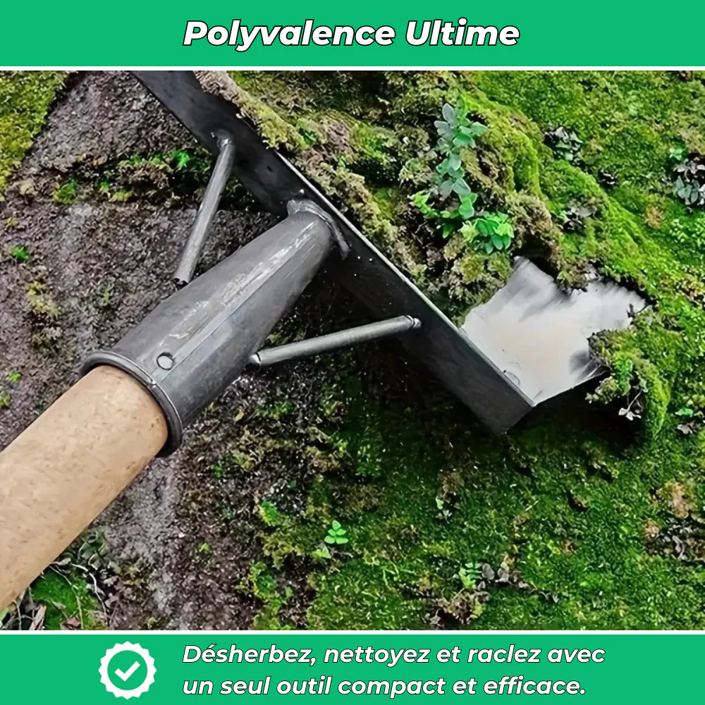 Raclette en Acier Inoxydable – Désherbage Facile et Nettoyage Extérieur Efficace - Image 4