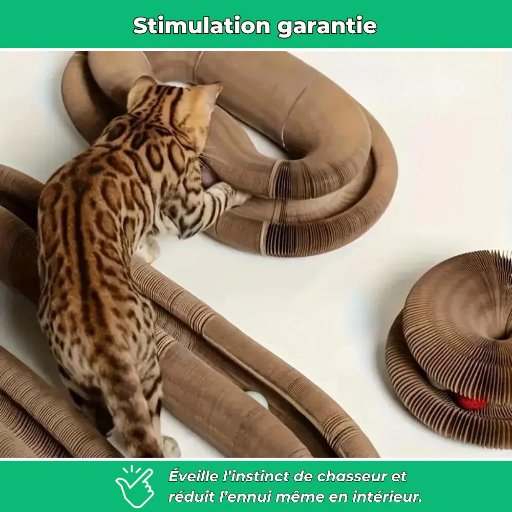 Griffoir en carton modulable pour chats – Jouet d’intérieur et anti-stress - Image 3