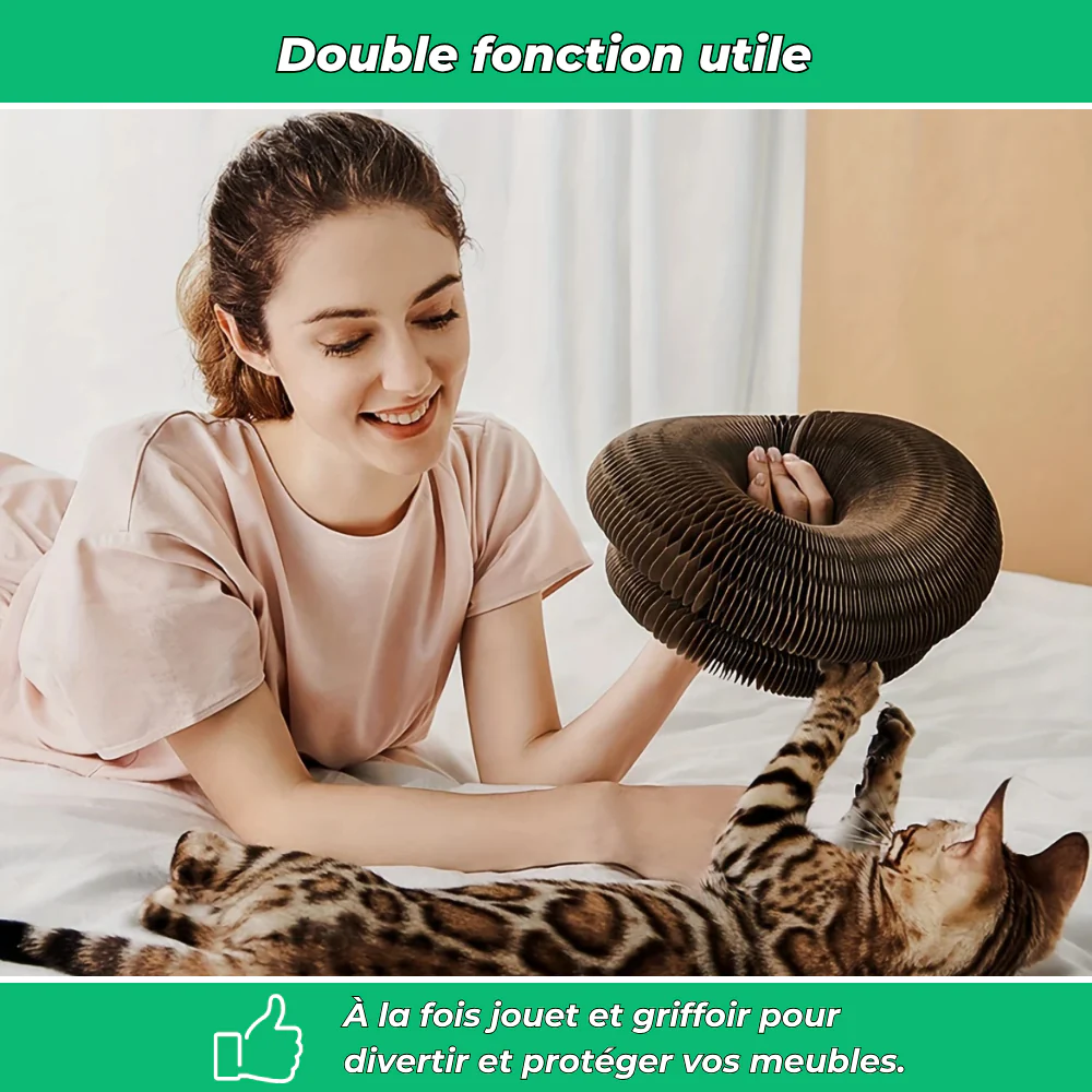 Griffoir en carton modulable pour chats – Jouet d’intérieur et anti-stress - Image 5