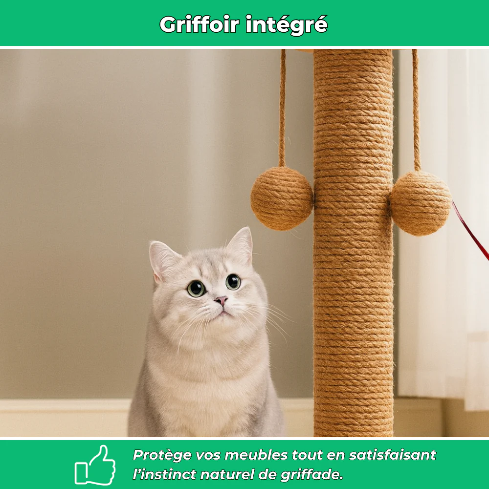 Griffoir Interactif Multifonction pour Chats – Jouet, Grattoir et Antistress - Image 4