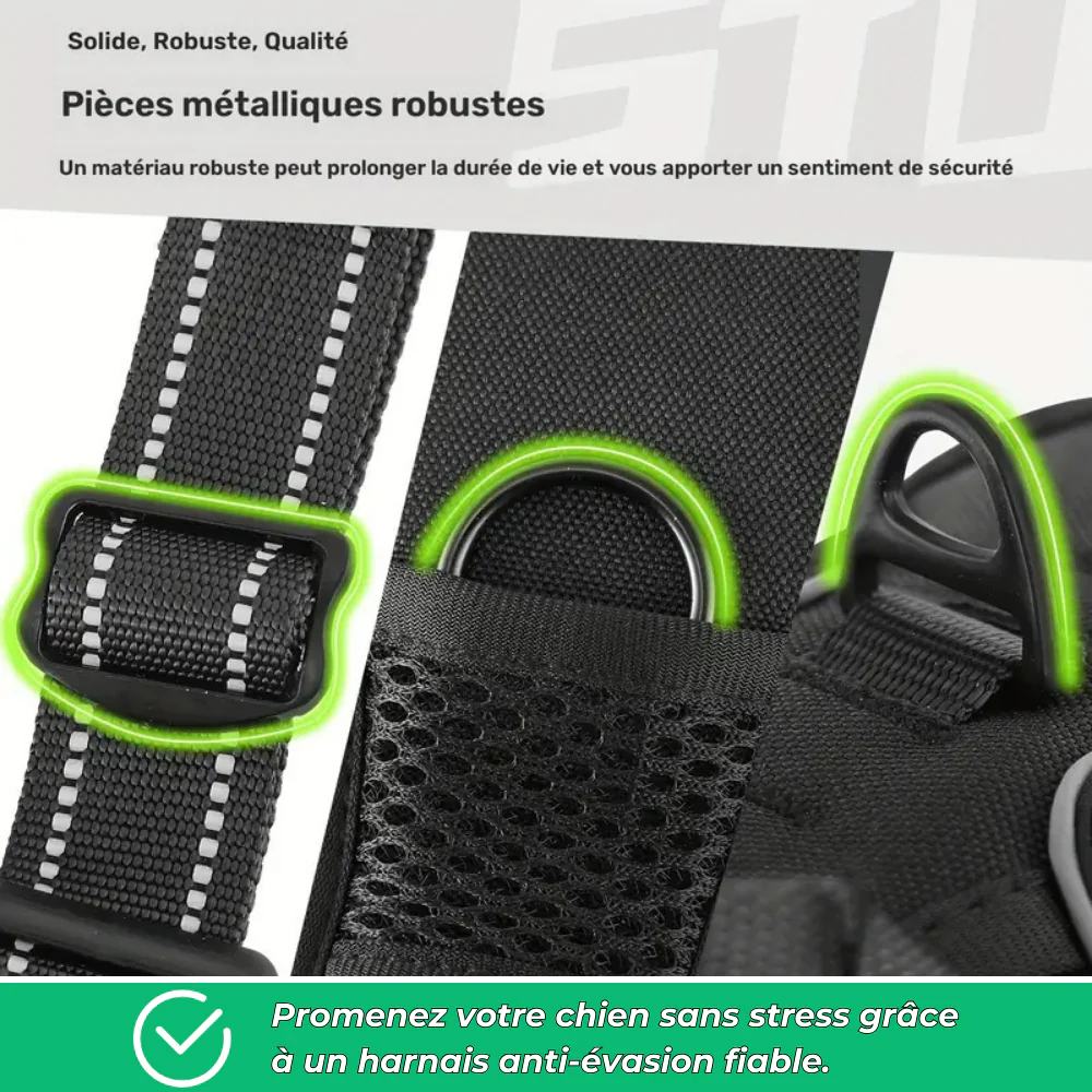 Harnais anti-évasion chien + laisse et distributeur – réglable et réfléchissant - Image 4