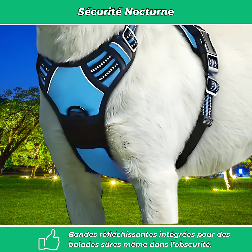 Harnais anti-évasion chien + laisse et distributeur – réglable et réfléchissant - Image 5