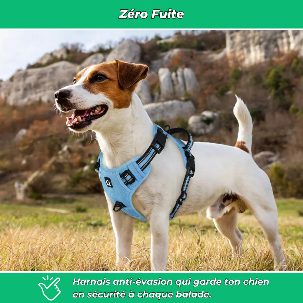 Harnais chien anti-fuite réglable + laisse 1,5 m réfléchissante - Image 3