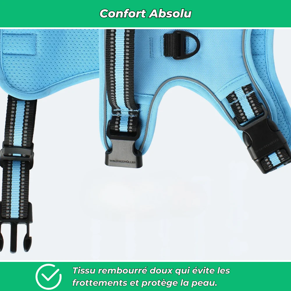 Harnais chien anti-fuite réglable + laisse 1,5 m réfléchissante - Image 4