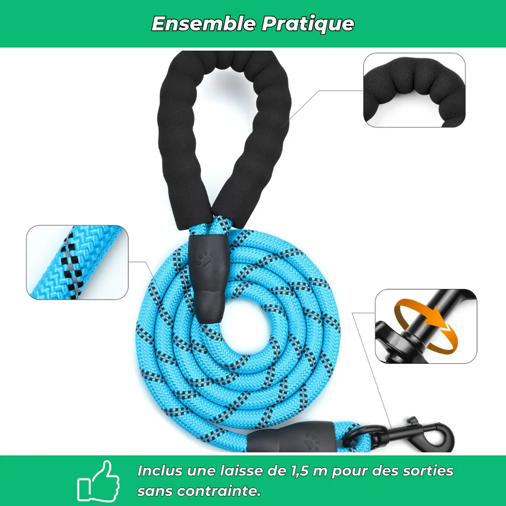 Harnais chien anti-fuite réglable + laisse 1,5 m réfléchissante - Image 5