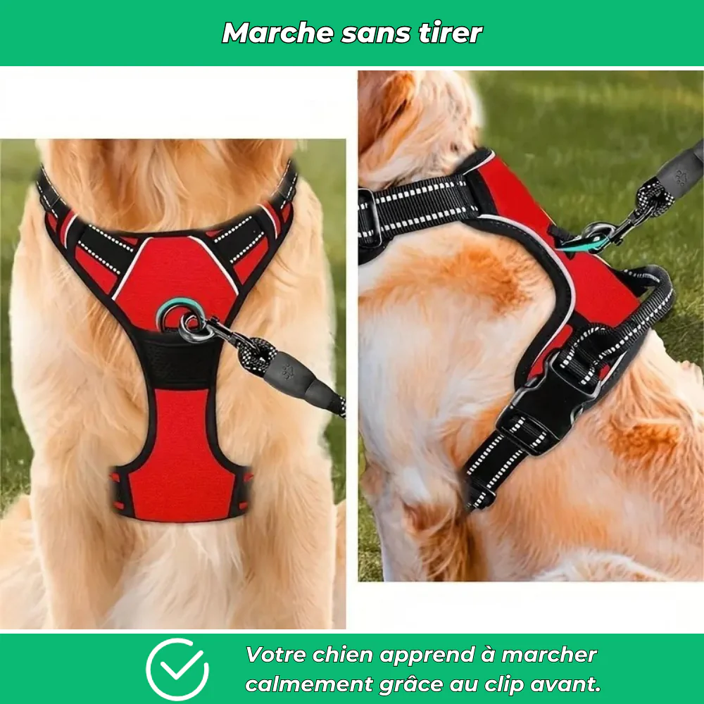 Harnais chien anti-traction réfléchissant avec poignée – Grand chien - Image 3