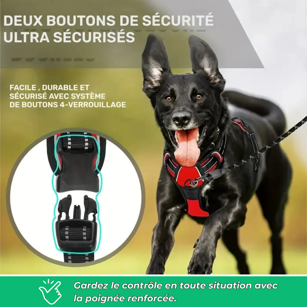 Harnais chien anti-traction réfléchissant avec poignée – Grand chien - Image 4