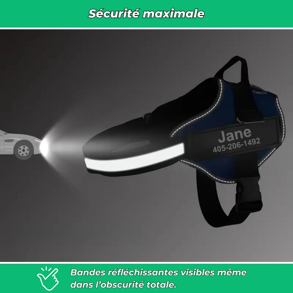 Harnais chien nom personnalisé – réglable et anti-étranglement - Image 3