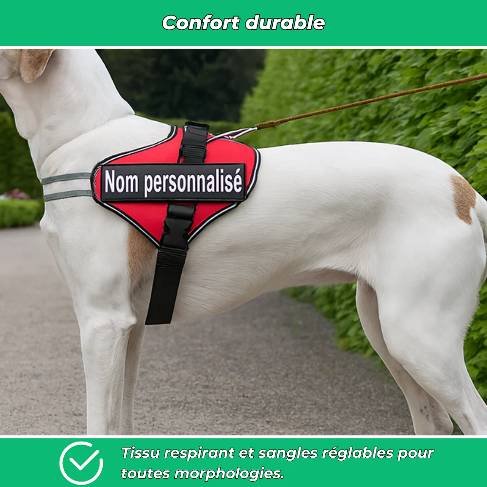Harnais chien nom personnalisé – réglable et anti-étranglement - Image 4