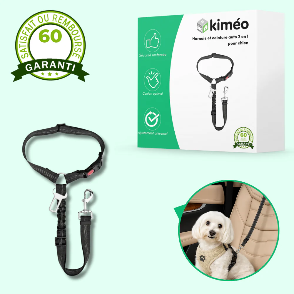 Ceinture de sécurité auto pour chien – Polyester résistant - Image 2