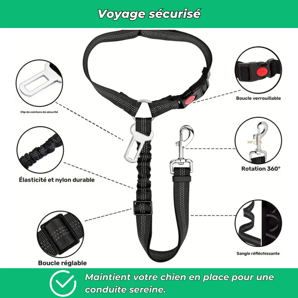 Ceinture de sécurité auto pour chien – Polyester résistant - Image 3