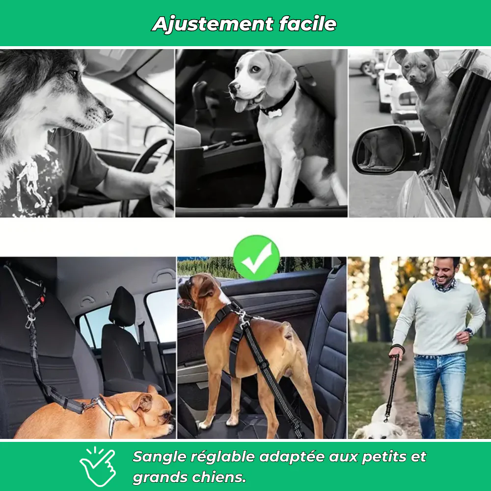 Ceinture de sécurité auto pour chien – Polyester résistant - Image 4