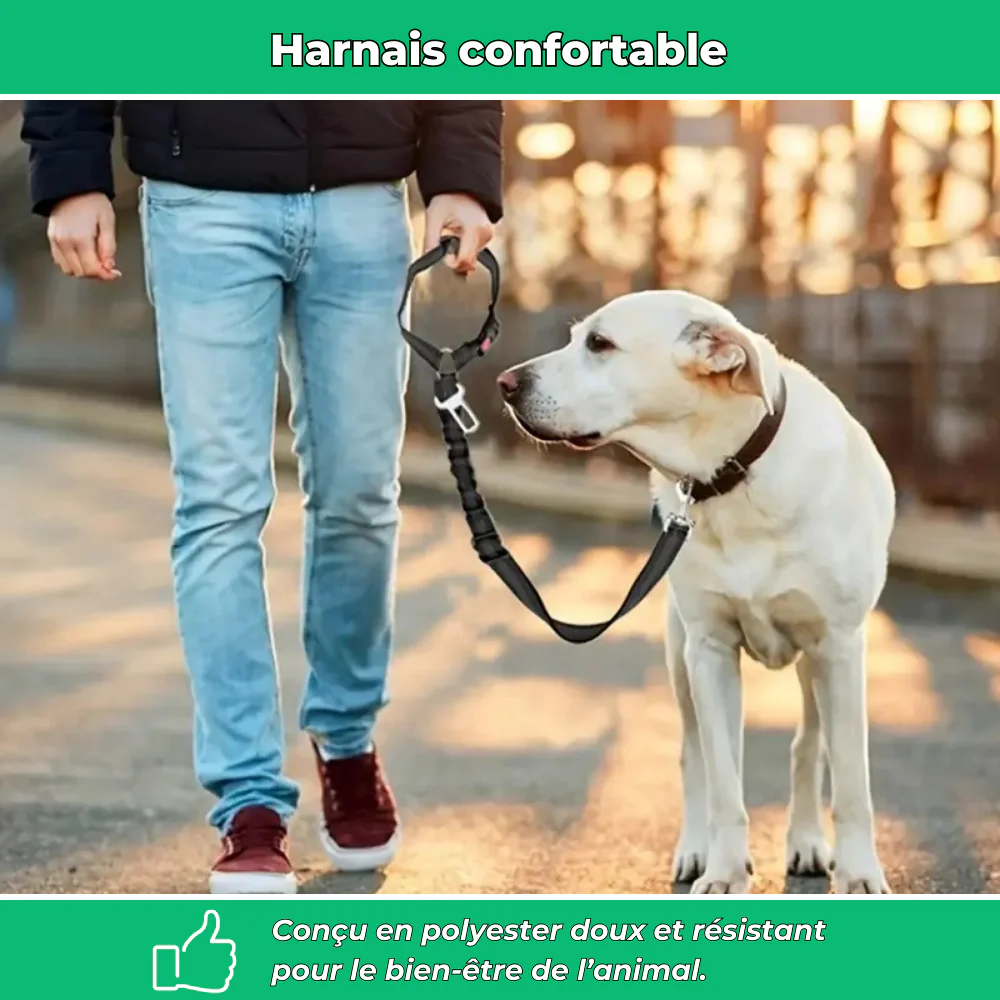 Ceinture de sécurité auto pour chien – Polyester résistant - Image 5