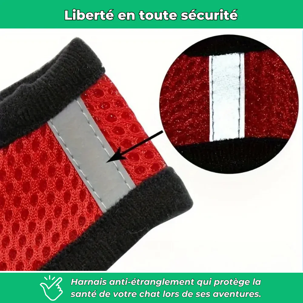 Harnais réglable avec laisse pour chat – Sécurité et confort en promenade - Image 3