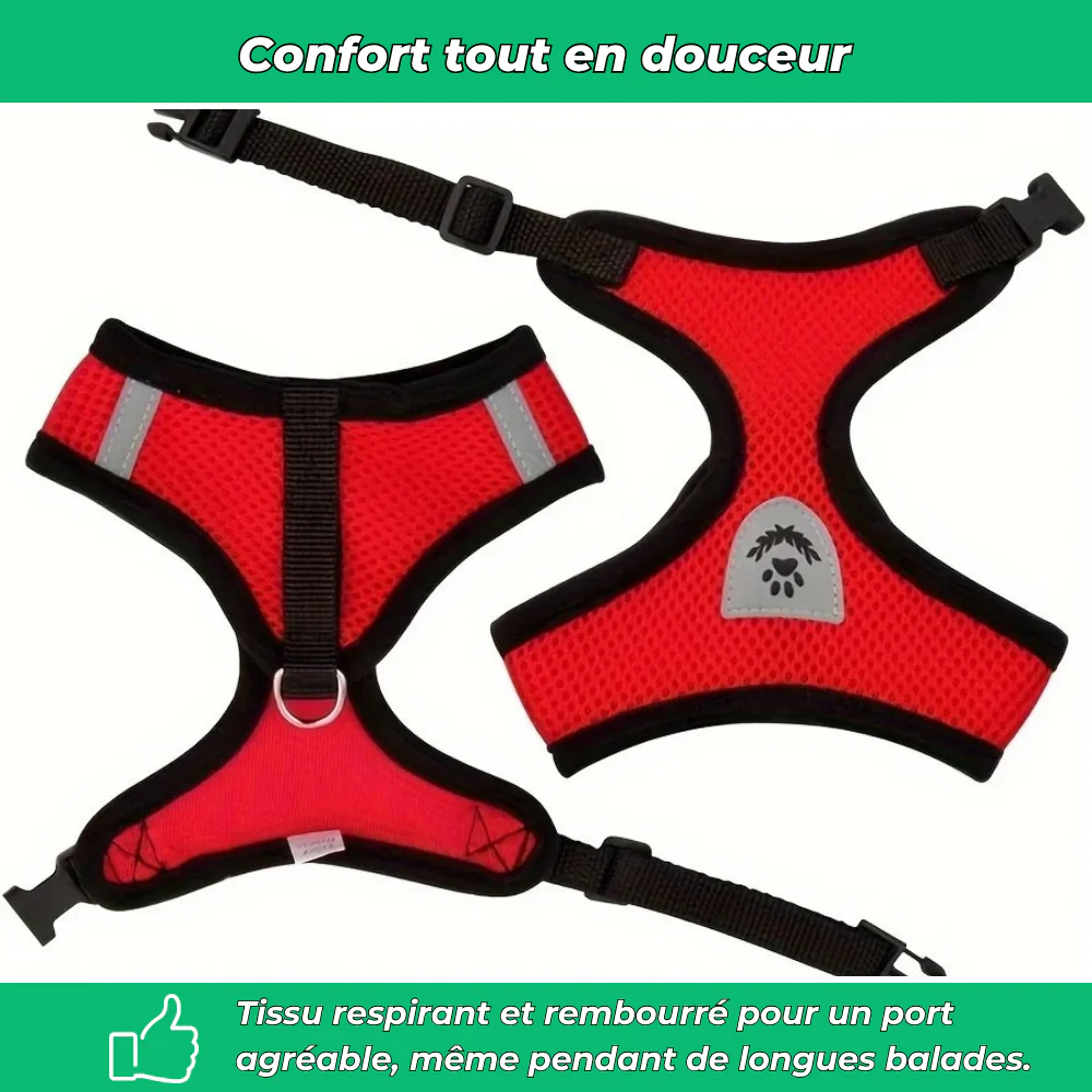 Harnais réglable avec laisse pour chat – Sécurité et confort en promenade - Image 4