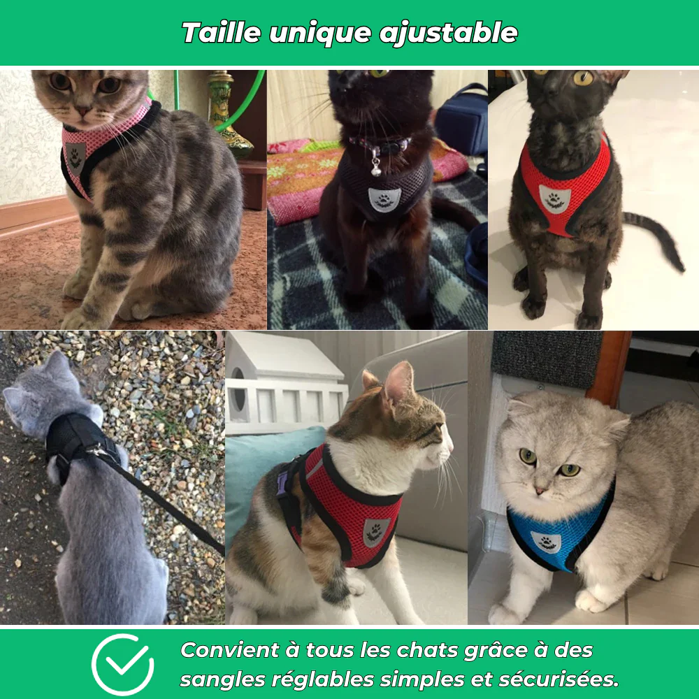 Harnais réglable avec laisse pour chat – Sécurité et confort en promenade - Image 5