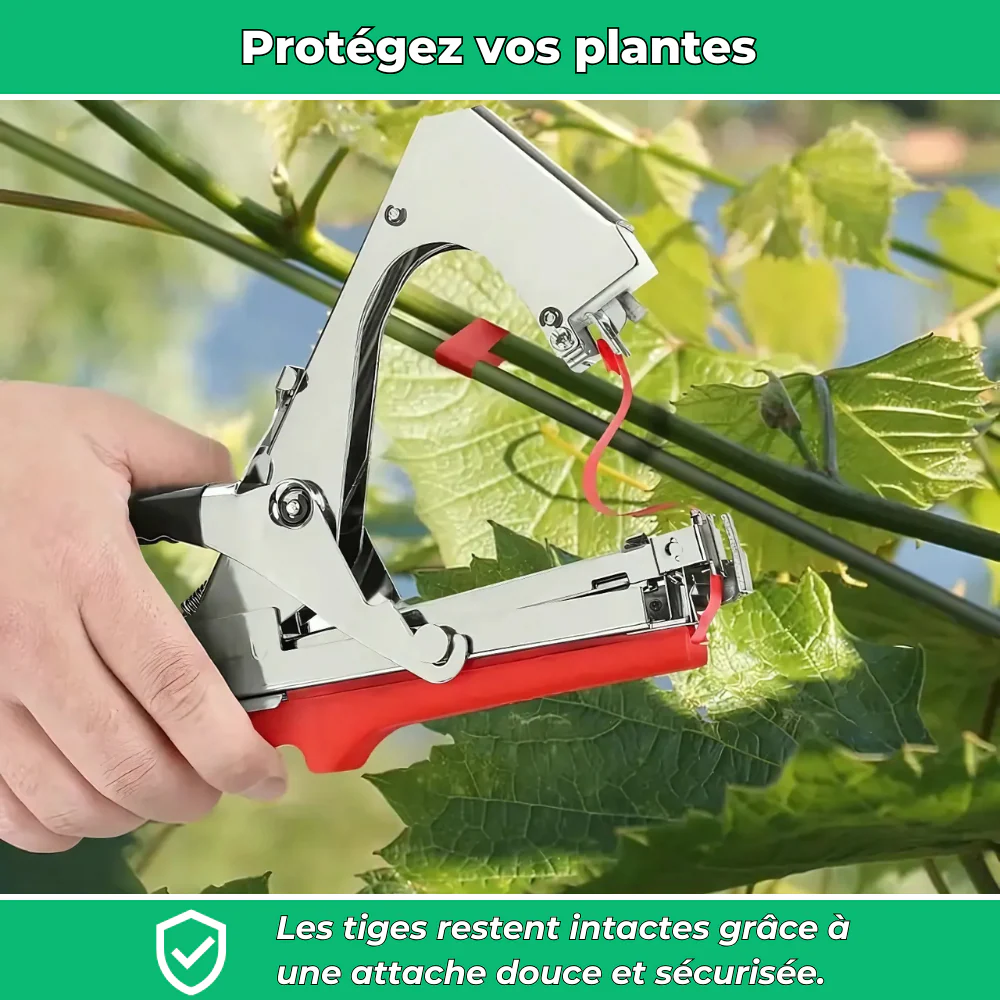 JardiClip Outil d'Attache pour Tiges de Plantes – Support Pratique pour Croissance des Plantes - Image 4