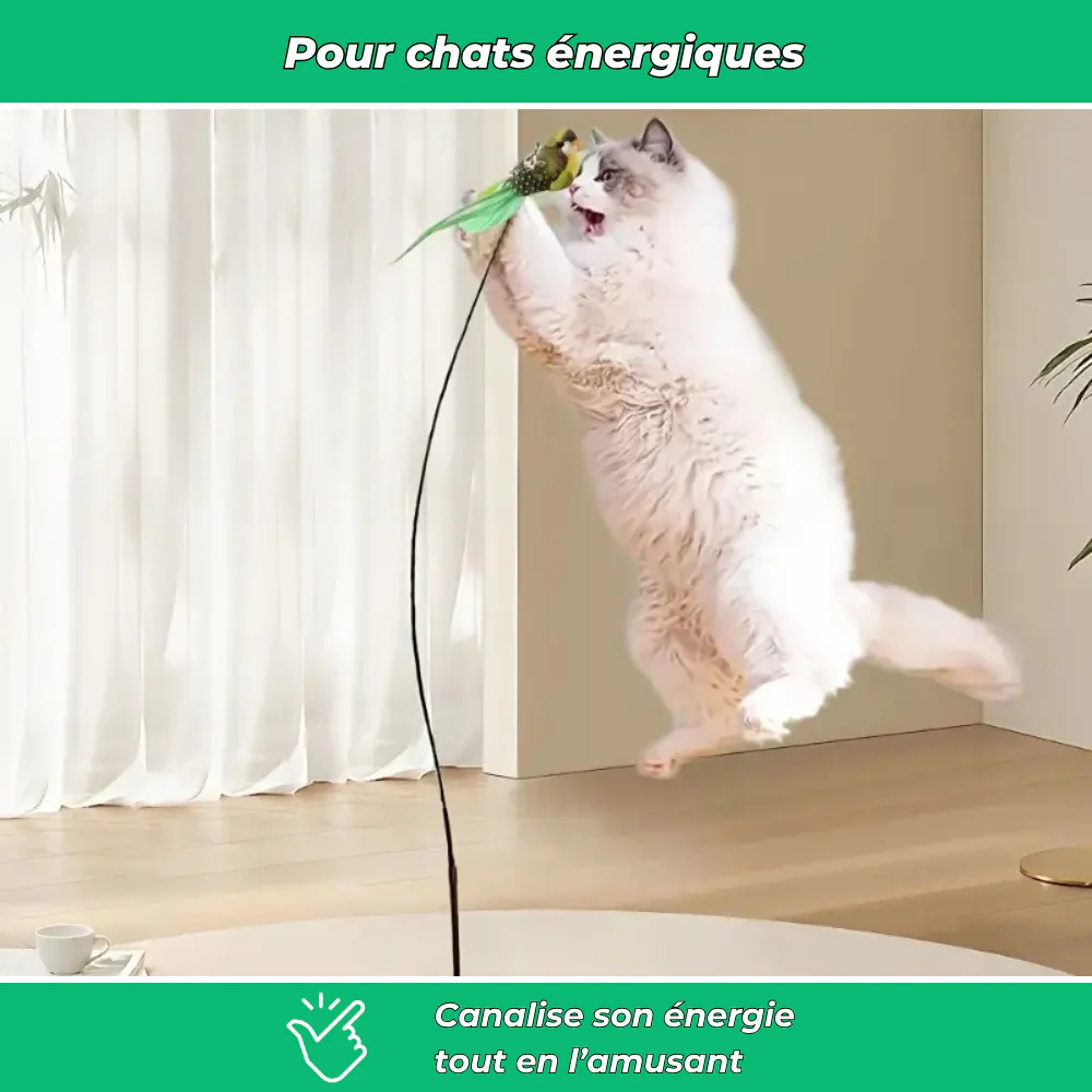 Jouet interactif pour chat avec oiseau – Stimule l’activité et la chasse - Image 4