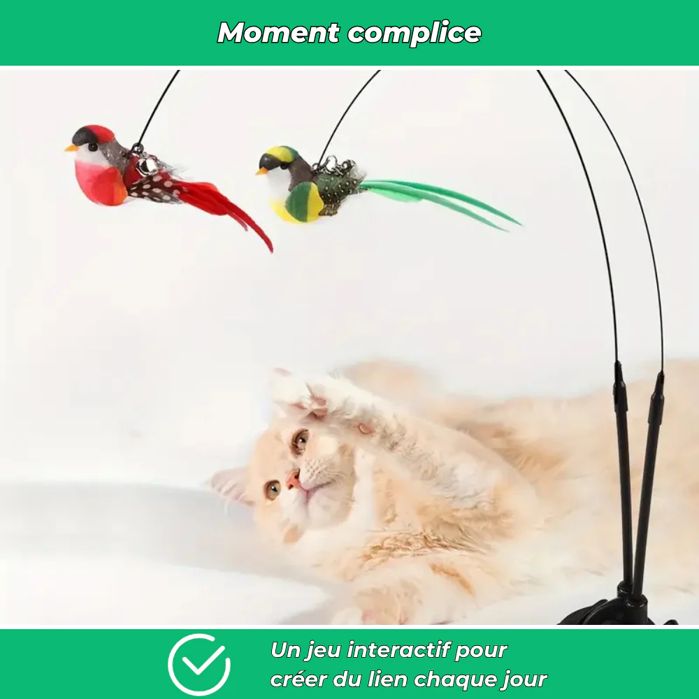 Jouet interactif pour chat avec oiseau – Stimule l’activité et la chasse - Image 5