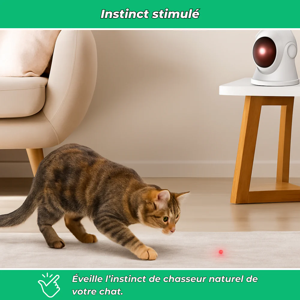 Jouet laser automatique interactif pour chats d’intérieur - Image 4