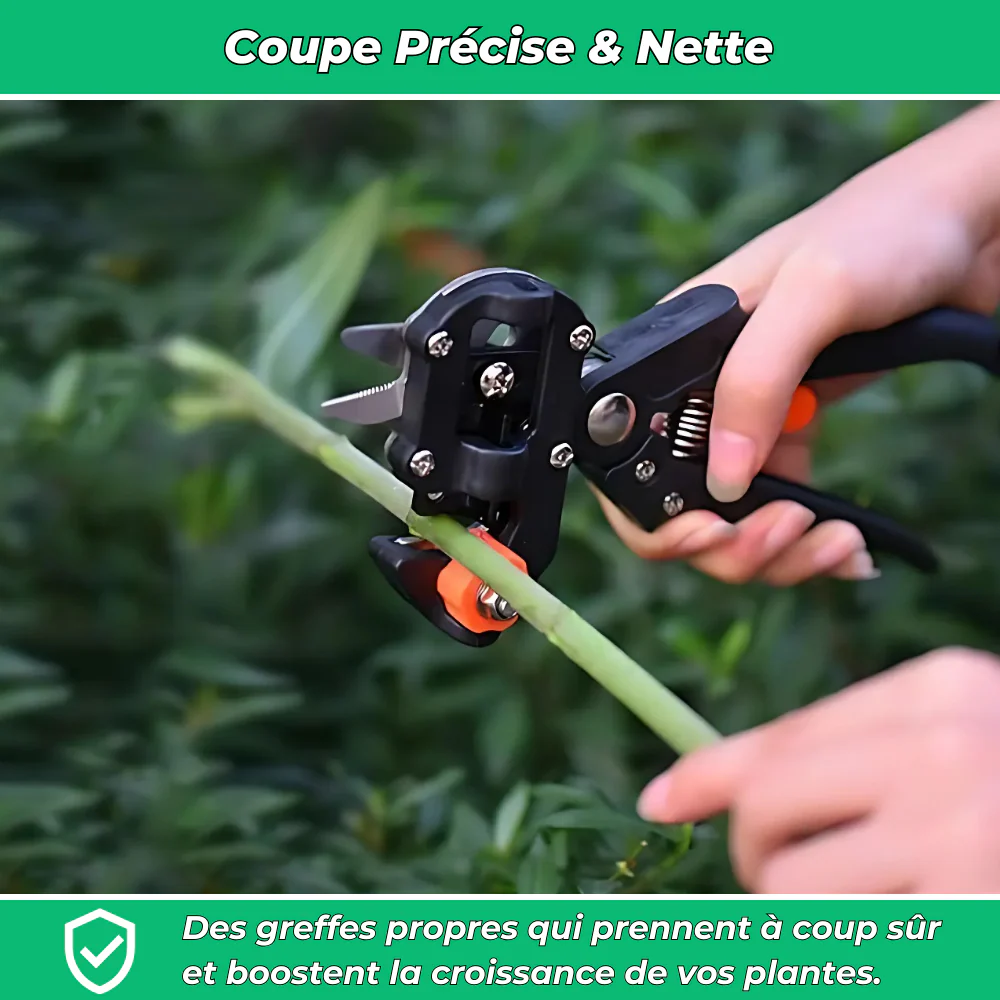 Kit d'Outils de Greffage 3 en 1 – Sécateur, Lames et Ruban pour Greffage Précis et Efficace - Image 3