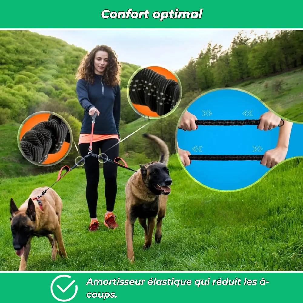Laisse double pour chiens – Anti-enchevêtrement 360°, réglable et réfléchissante - Image 4