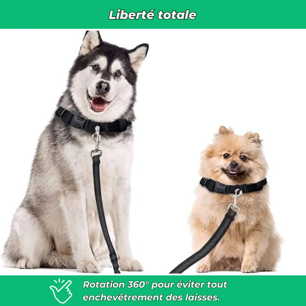 Laisse double pour chiens – Anti-enchevêtrement 360°, réglable et réfléchissante - Image 5