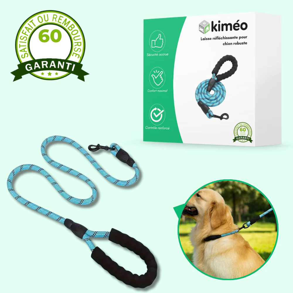 Laisse réfléchissante robuste pour chien – Poignée rembourrée, double traction, sécurité et confort - Image 2