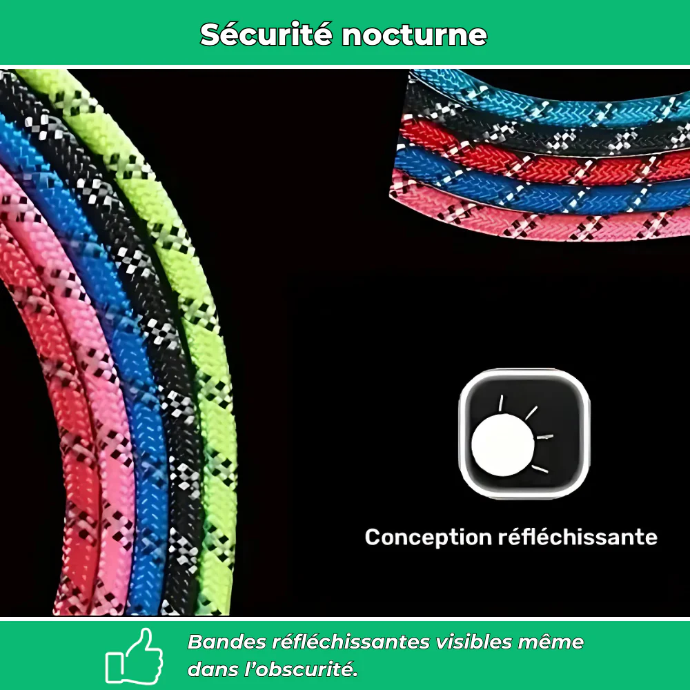 Laisse réfléchissante robuste pour chien – Poignée rembourrée, double traction, sécurité et confort - Image 4