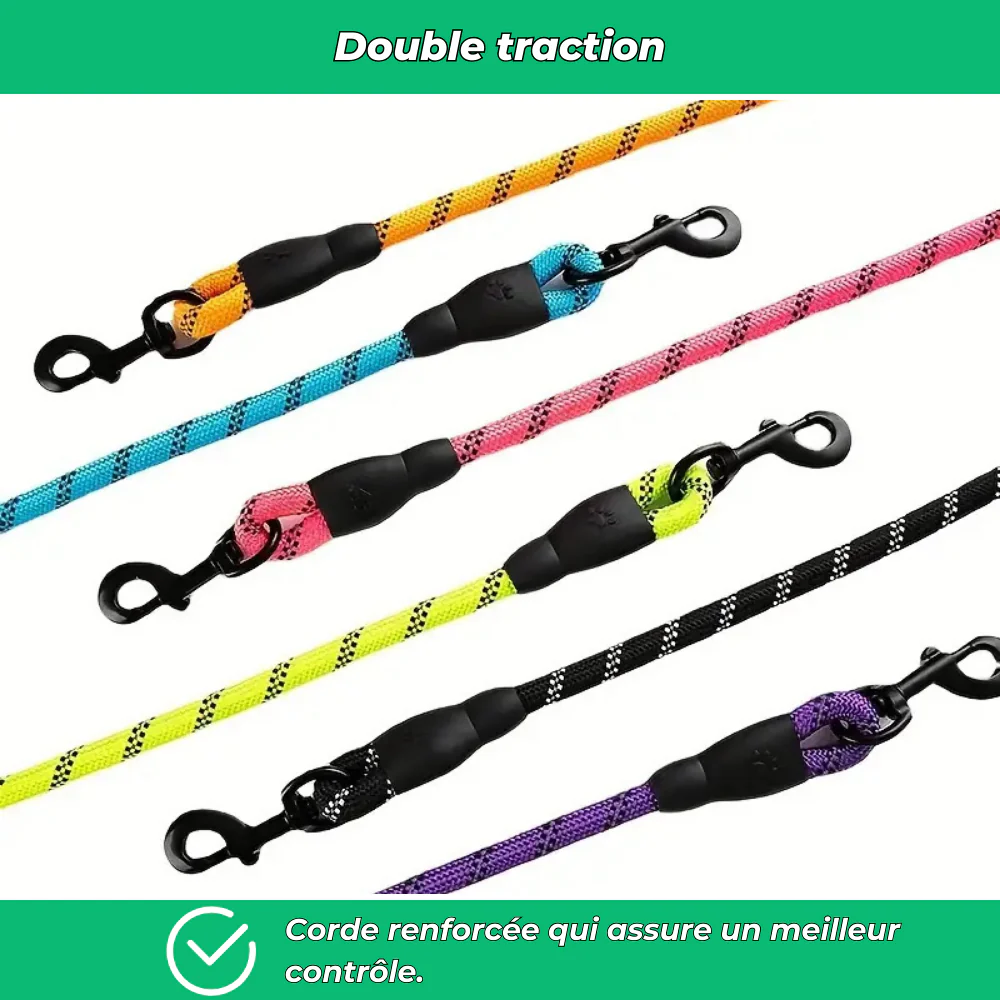 Laisse réfléchissante robuste pour chien – Poignée rembourrée, double traction, sécurité et confort - Image 5