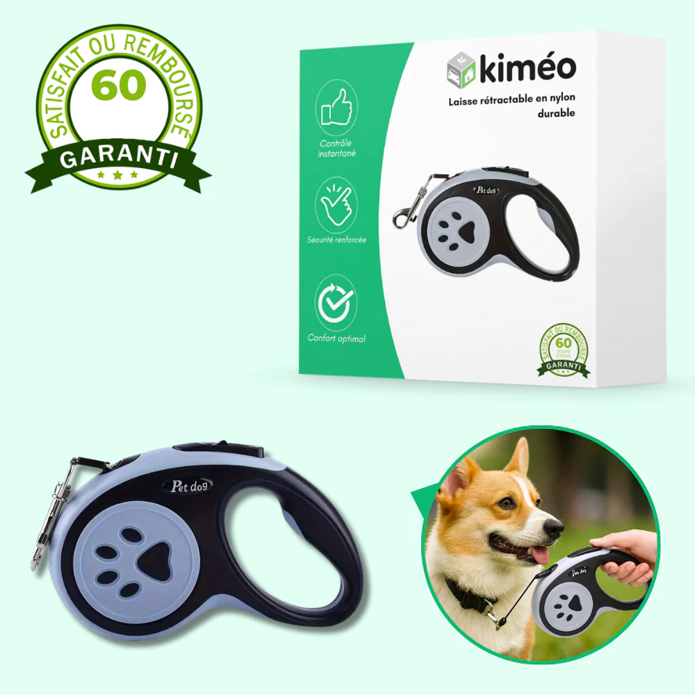 Laisse rétractable pour chien – Nylon durable avec frein à un bouton, idéale petits et moyens chiens - Image 2