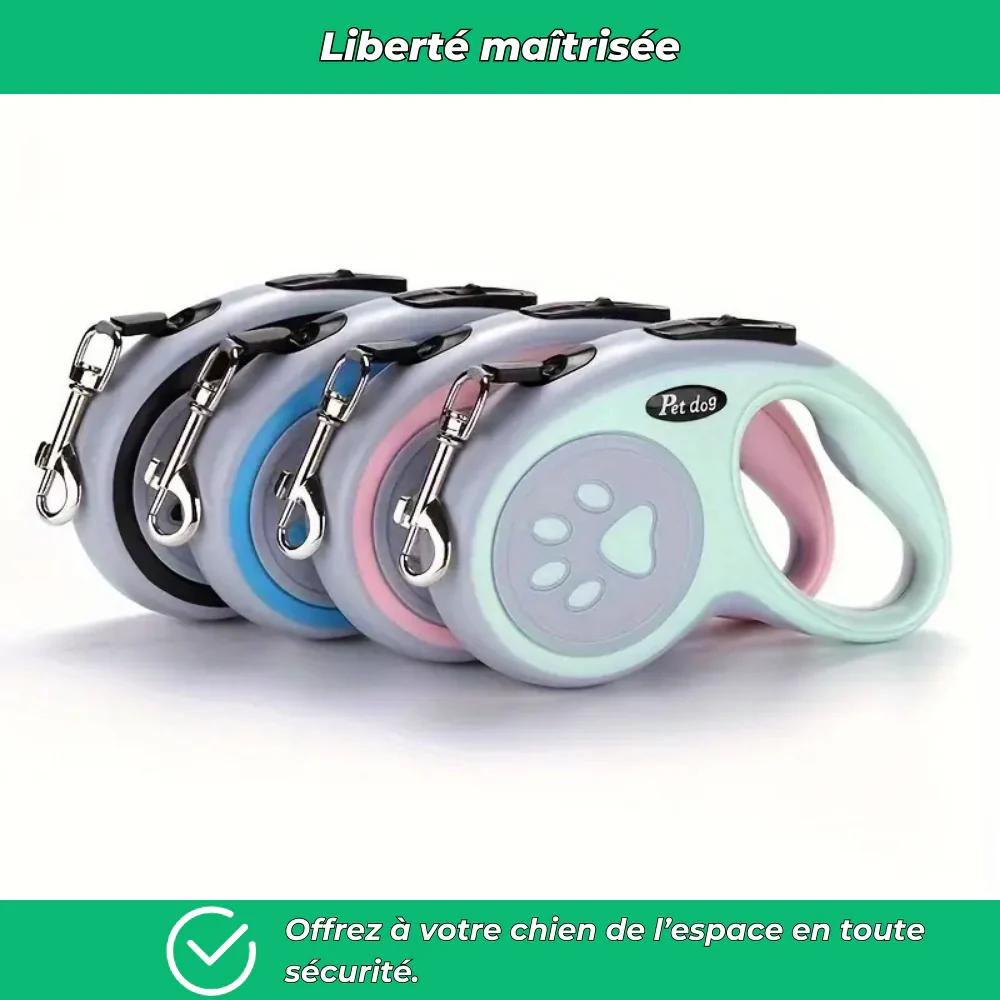 Laisse rétractable pour chien – Nylon durable avec frein à un bouton, idéale petits et moyens chiens - Image 5