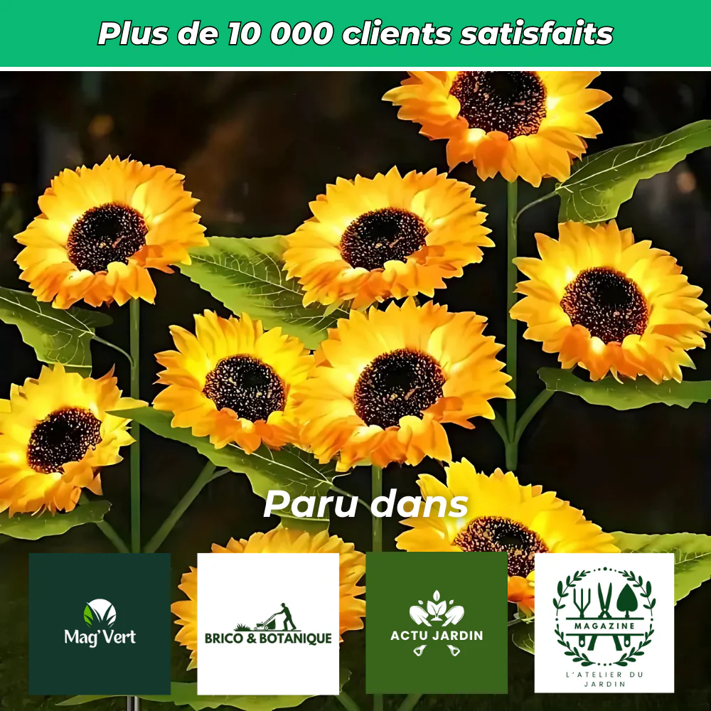 Lampe Solaire Tournesol à LED – Éclairage Décoratif et Écologique pour Jardin - Image 6
