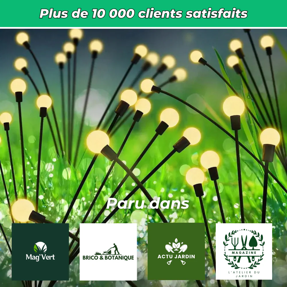 Lampes Lucioles à Énergie Solaire – Éclairage Décoratif et Écologique pour Jardin et Terrasse - Image 5