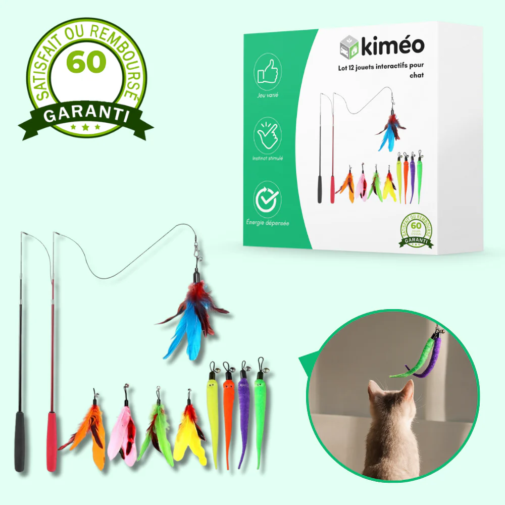 Lot 12 jouets interactifs pour chat avec plumes et bâtons - Image 2