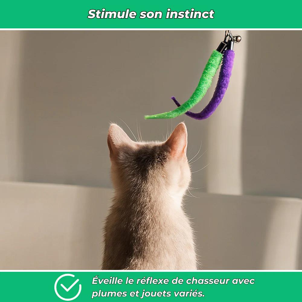 Lot 12 jouets interactifs pour chat avec plumes et bâtons - Image 3