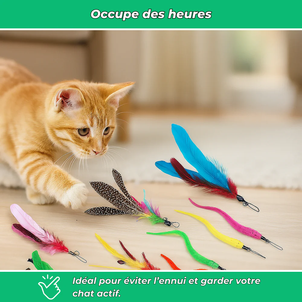 Lot 12 jouets interactifs pour chat avec plumes et bâtons - Image 4