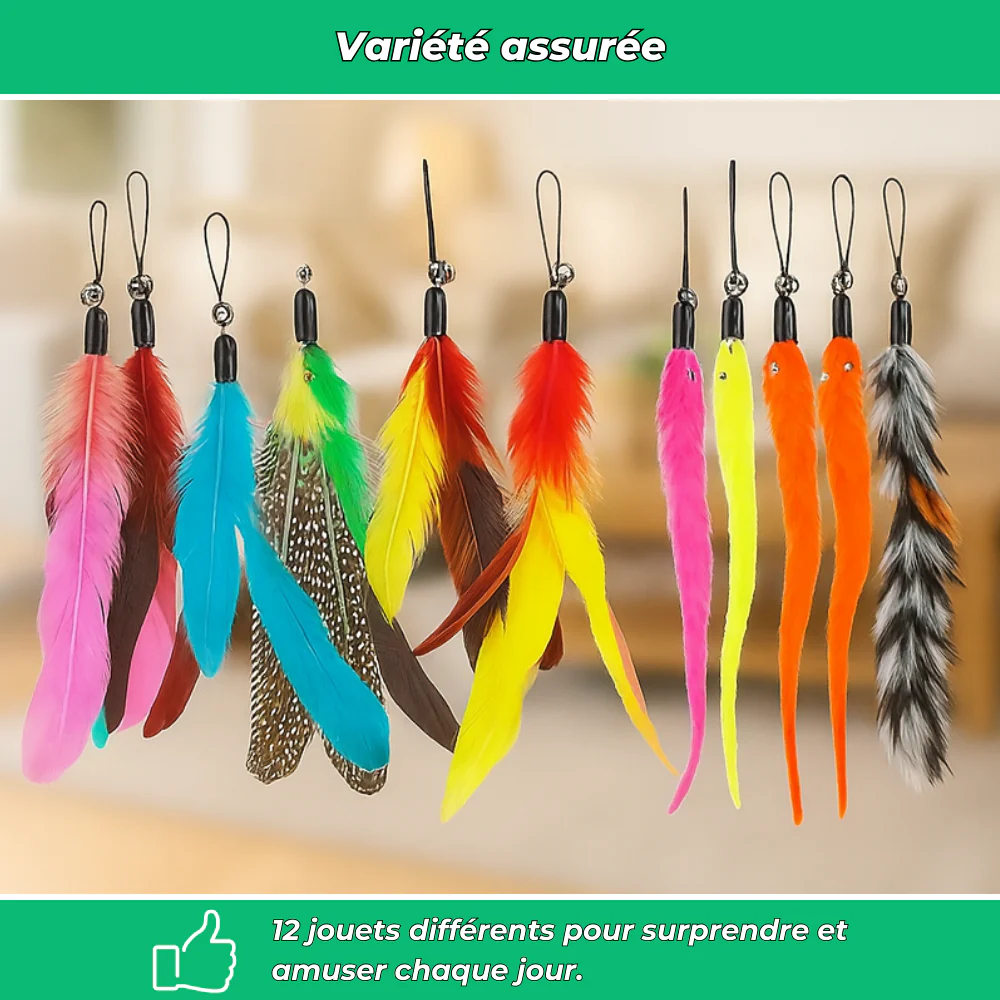 Lot 12 jouets interactifs pour chat avec plumes et bâtons - Image 5