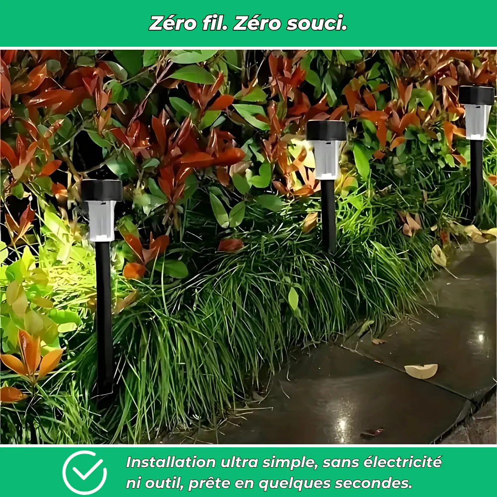 Lot de 10 lampes solaires décoratives pour jardin - Image 5