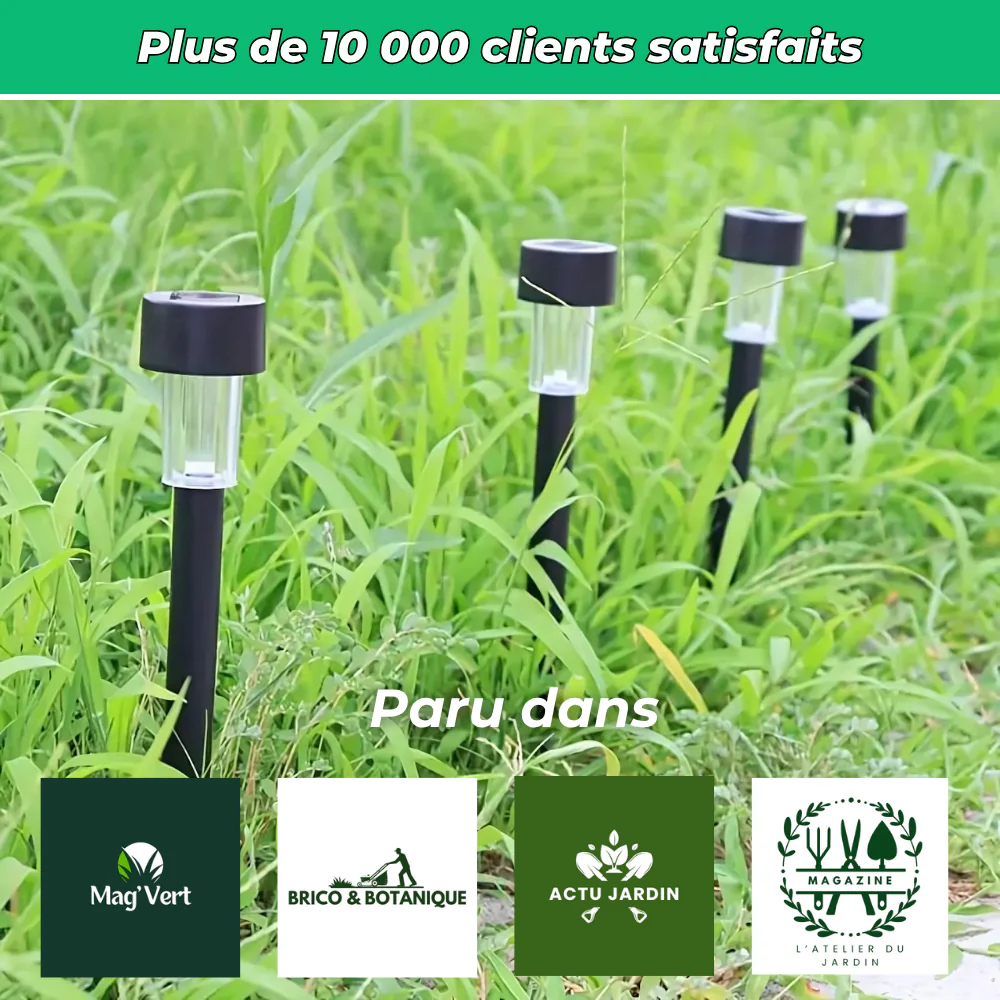 Lot de 10 lampes solaires décoratives pour jardin - Image 6