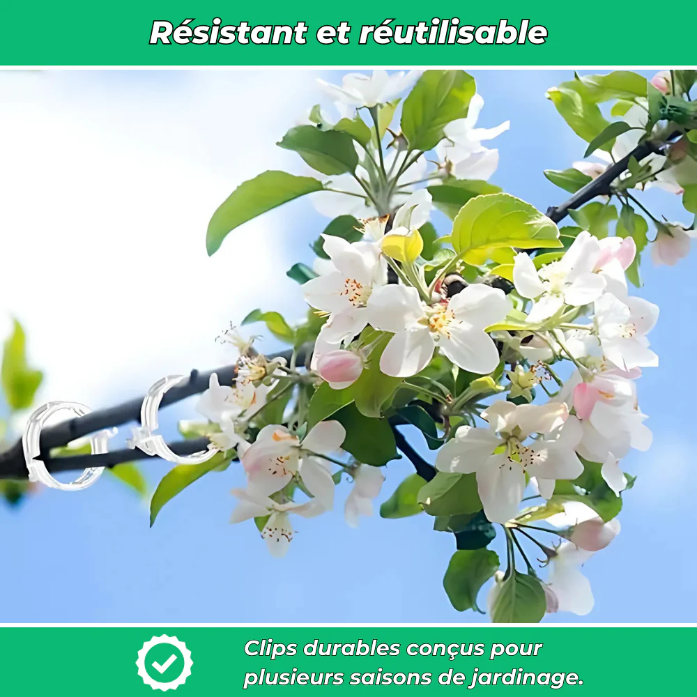 Lot de 25 Clips en Plastique Réutilisables – Pratiques pour Rangement et Organisation - Image 5