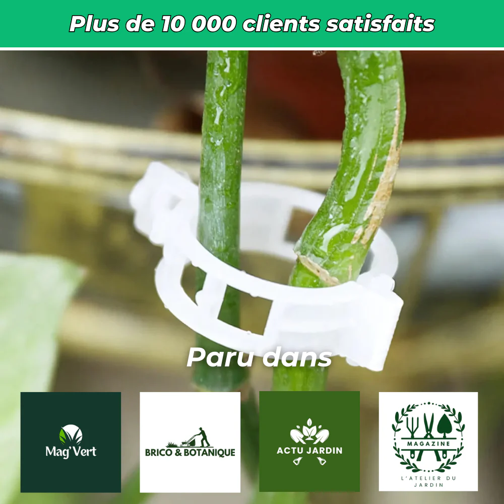 Lot de 25 Clips en Plastique Réutilisables – Pratiques pour Rangement et Organisation - Image 6