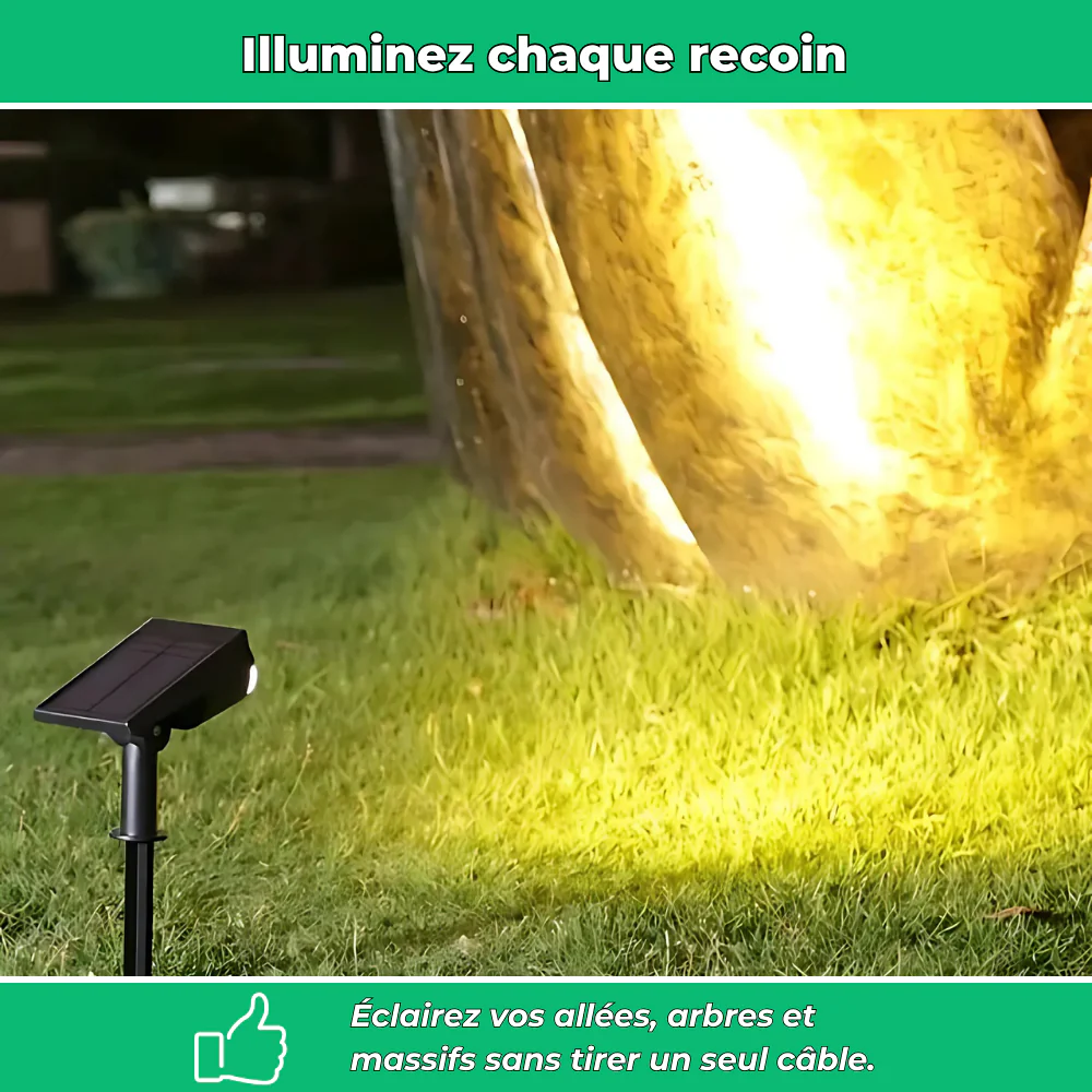 Lot de 4 projecteurs solaires sur piquet pour jardin - Image 3
