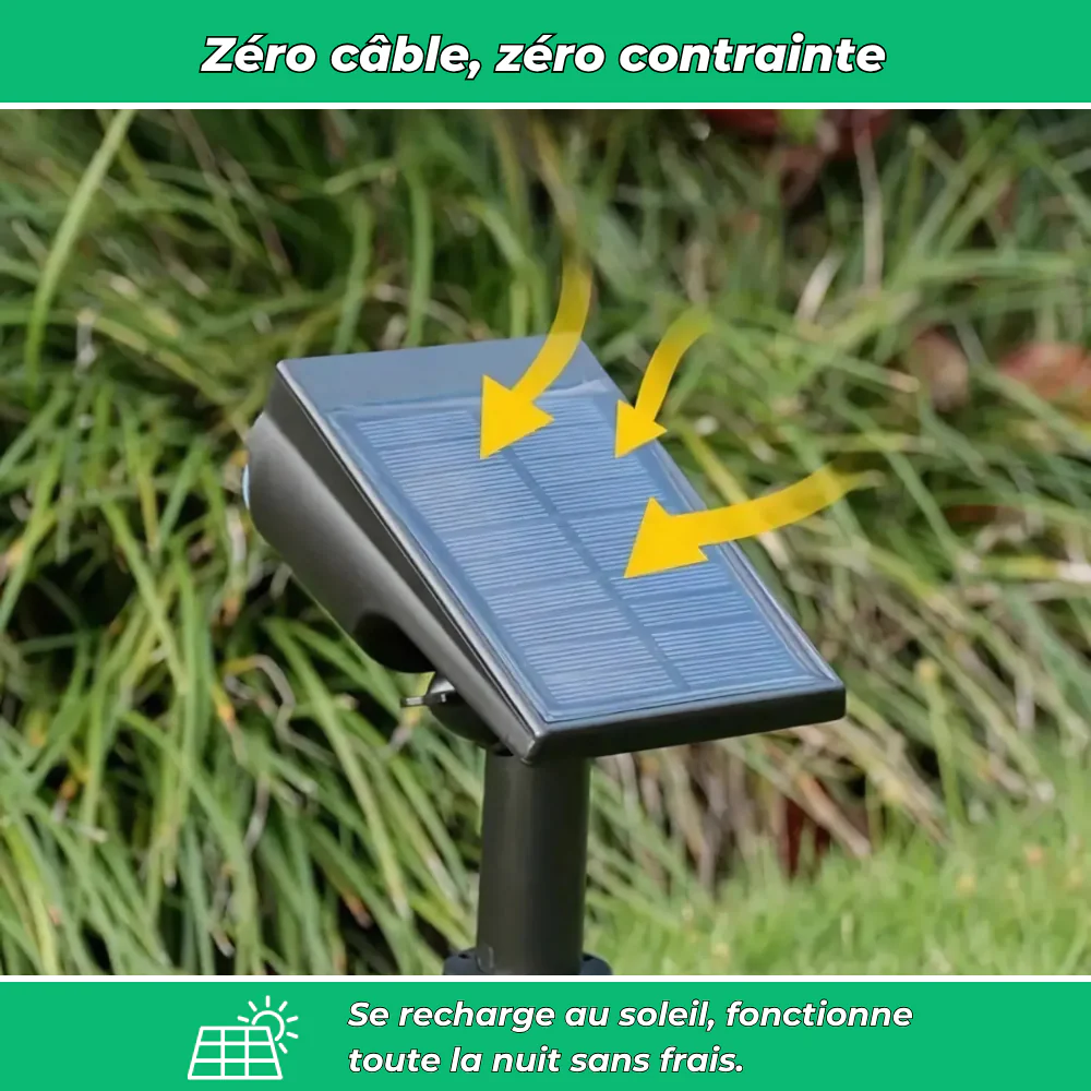Lot de 4 projecteurs solaires sur piquet pour jardin - Image 4