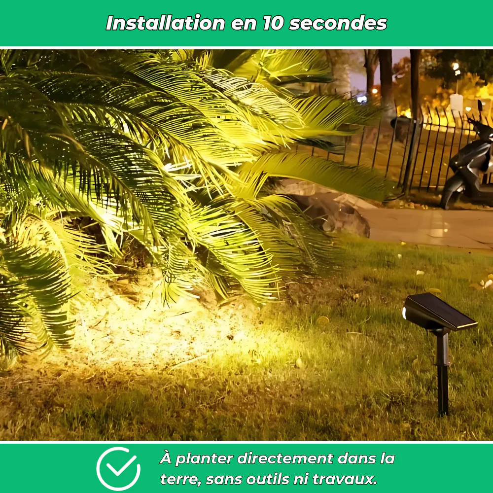 Lot de 4 projecteurs solaires sur piquet pour jardin - Image 5