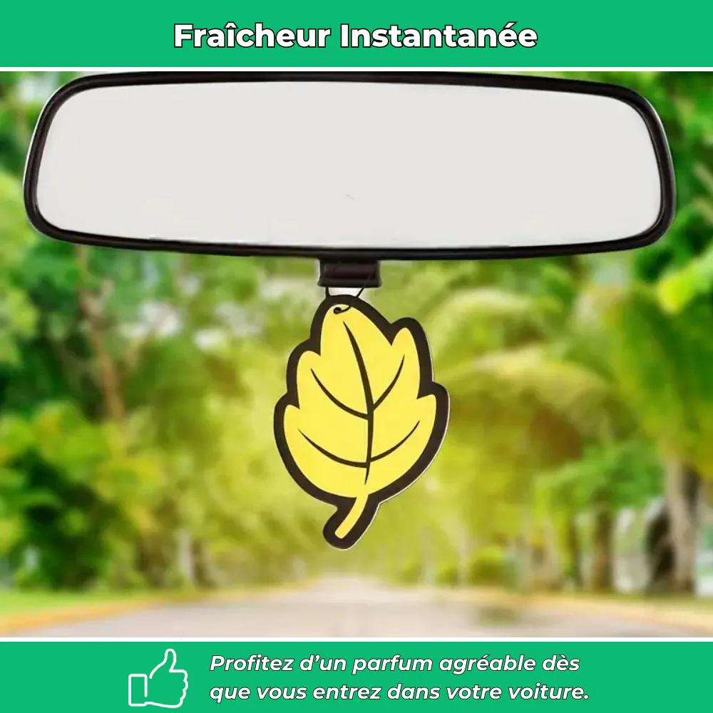 Lot de désodorisants voiture en forme de feuille - Image 3