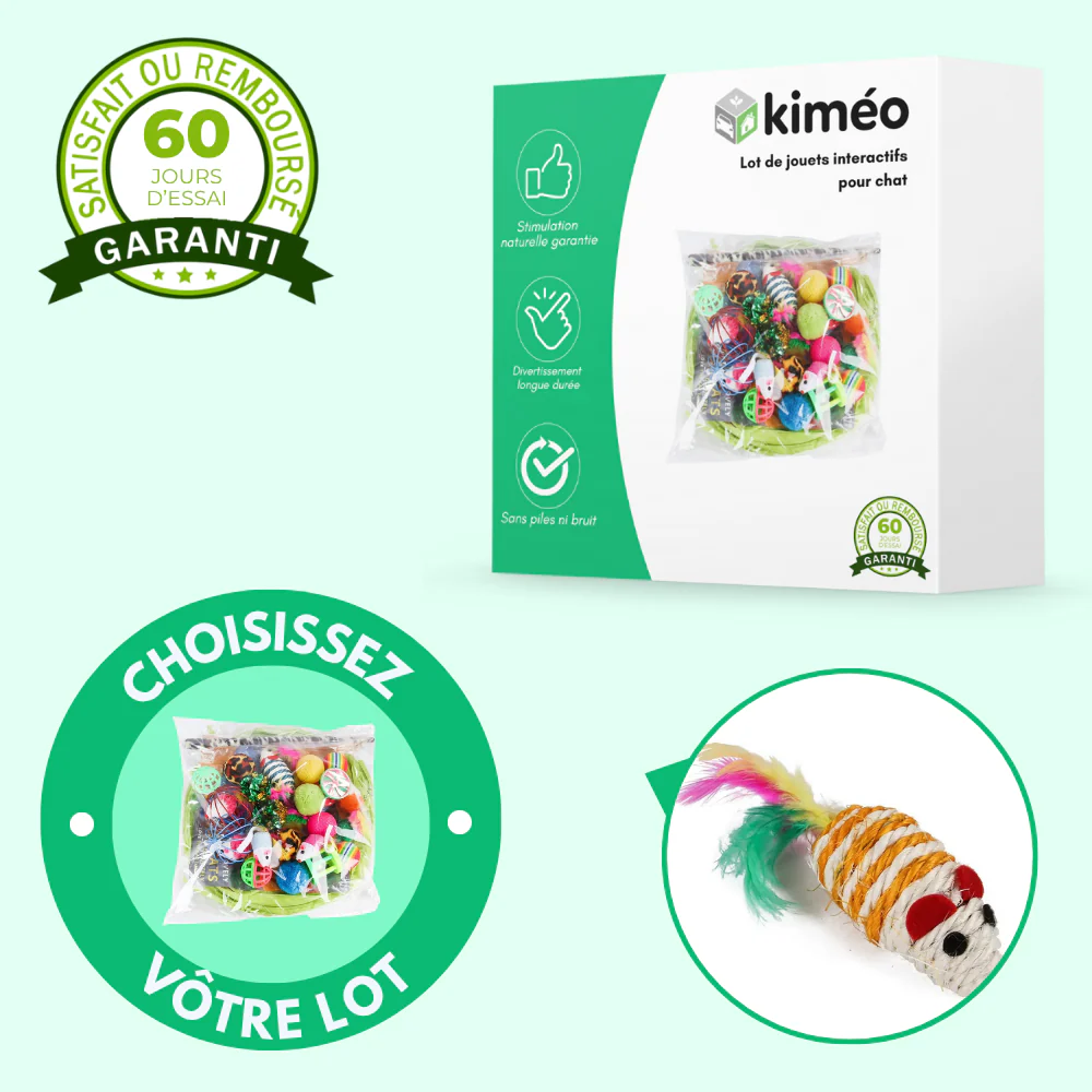 Lot de jouets interactifs pour chat – Stimule la chasse et l’activité quotidienne - Image 2