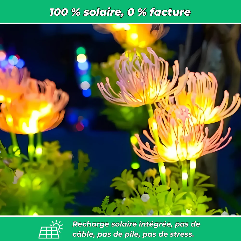 Lumières solaires florales décoratives pour jardin (Lot de 2) - Image 4